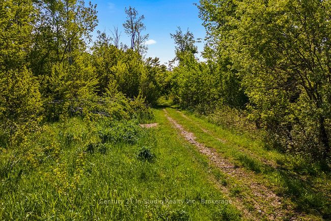 375533 - 6th Line, Home with 0 bedrooms, 0 bathrooms and null parking in Amaranth ON | Image 17