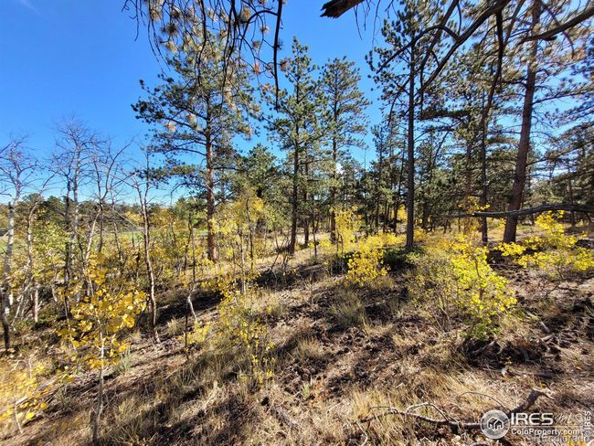 70 Northwoods Dr, Home with 0 bedrooms, 0 bathrooms and null parking in Red Feather Lakes CO | Image 9