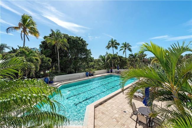 Very large lap pool with spa and elevated grilling area | Image 27