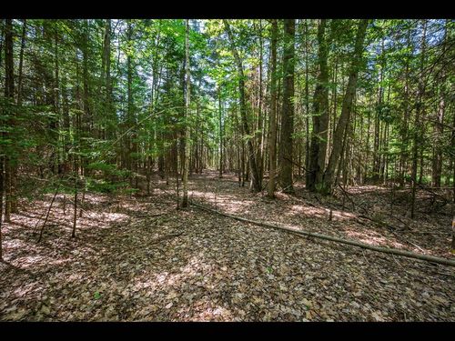 Lots 1-4 Memory Ln, Eagle River, WI, 54521 | Card Image