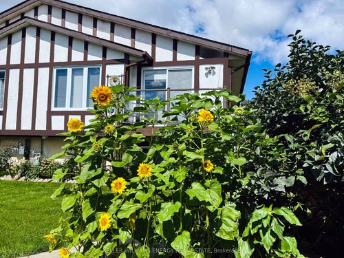 106A Wellington Main St, Wellington, ON, K0K3L0 | Card Image