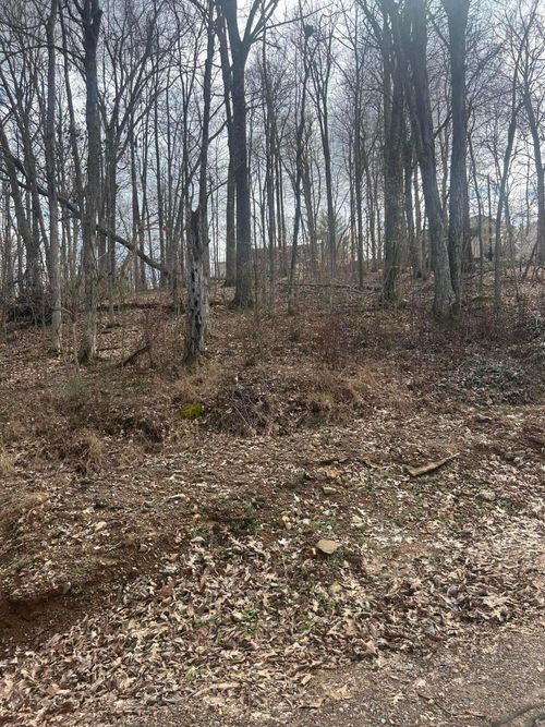26-i-Rockastle Shores Bypass Rd, Cadiz, KY, 42211 | Card Image
