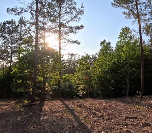 1882 Hillbrook Dr, Linden, TN, 37096 | Card Image
