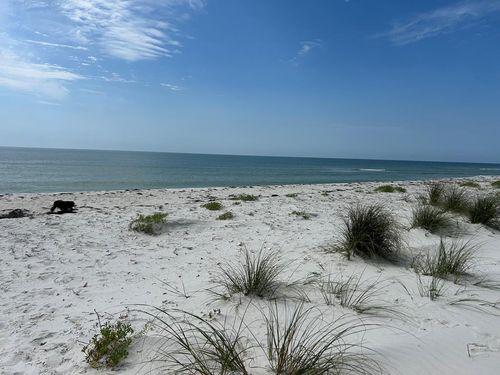 989 Gulf Shore Dr, Carrabelle, FL, 32322 | Card Image