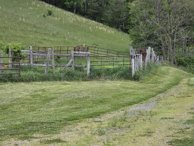 1052 Shippys Branch Rd, House other with 2 bedrooms, 1 bathrooms and null parking in Mouth of Wilson VA | Image 11
