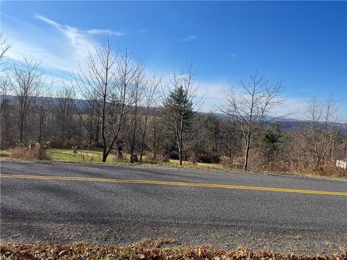 Lot 16 Wicks Road, Montour, NY, 14865 | Card Image