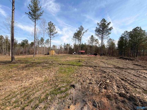 Lot 5 County Road 79, Danville, AL, 35619 | Card Image