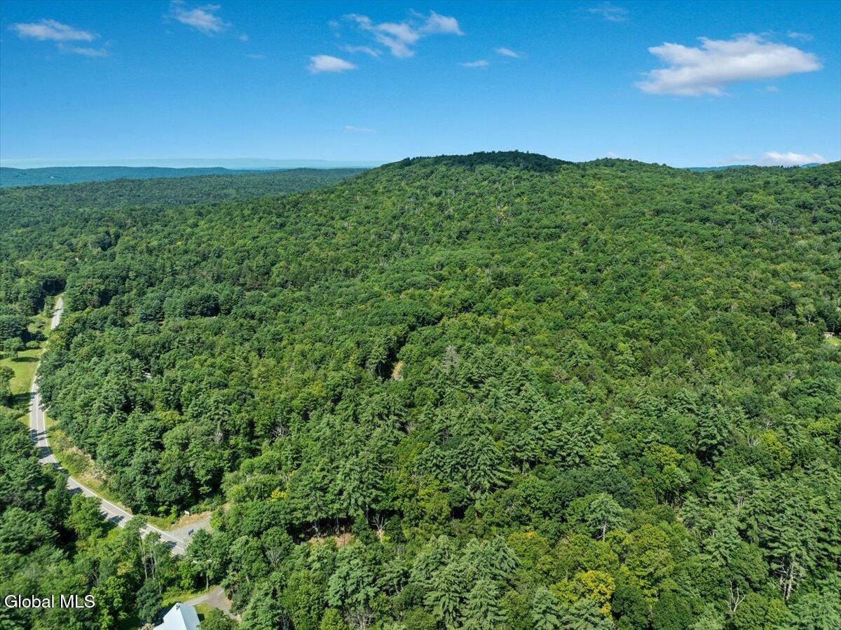 Land in Stephentown 4