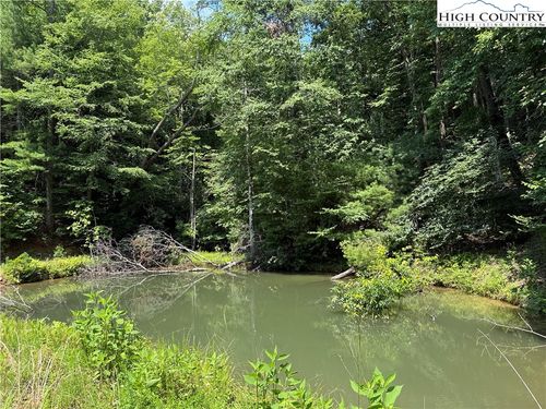 TBD Staghorn Rd, Purlear, NC, 28665 | Card Image