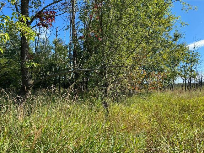 3 acres 7th Street, Home with 0 bedrooms, 0 bathrooms and null parking in Weyerhaeuser WI | Image 7