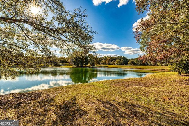 2066 Drew Allen Rd, House other with 4 bedrooms, 3 bathrooms and 3 parking in Williamson GA | Image 79