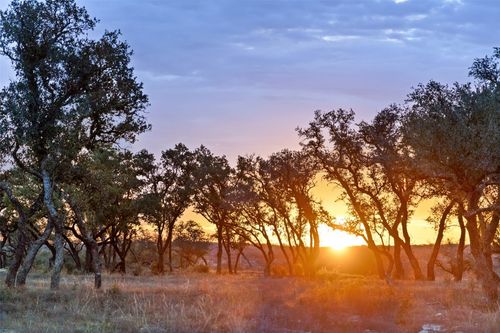 33-1422 Ranch Road 2766, Johnson City, TX, 78636 | Card Image