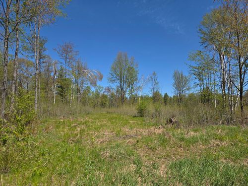 20acres-ON Central Ave E, Brantwood, WI, 54513 | Card Image