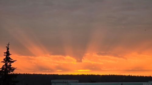 318-350 Island Highway S, Campbell River, BC, V9W1A5 | Card Image