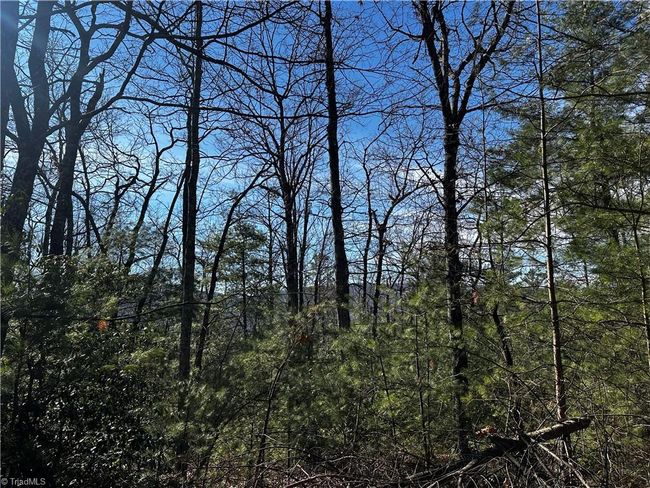 209 Casey Mountain Rd, Home with 0 bedrooms, 0 bathrooms and null parking in Purlear NC | Image 4