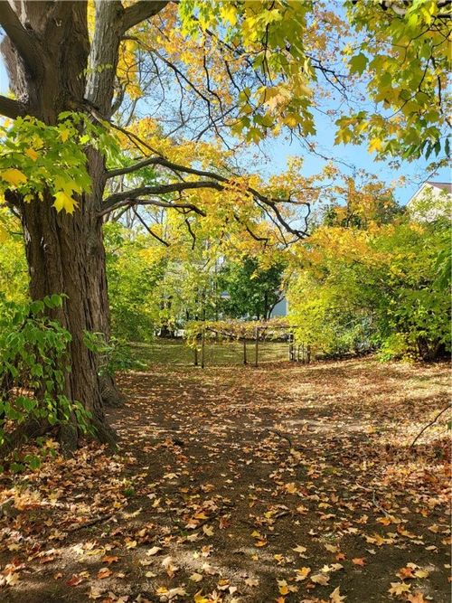 0 Park Ave, Woonsocket, RI, 02895 | Card Image