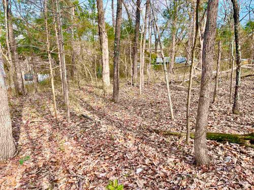0 Nokomis Dr, Cherokee Village, AR, 72529 | Card Image