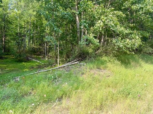 tbd W River Rd, Weidman, MI, 48893 | Card Image