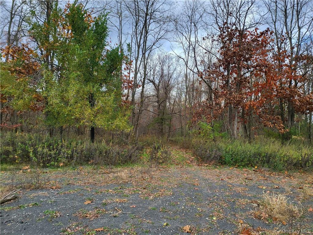 Land in Rosendale 3