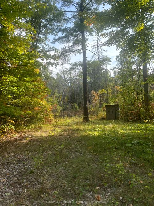 0 Pineview Crt, Marmora, ON, K0K2M0 | Card Image