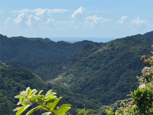 lot-5-Carr 511 Anton, PONCE, PR, 00731 | Card Image