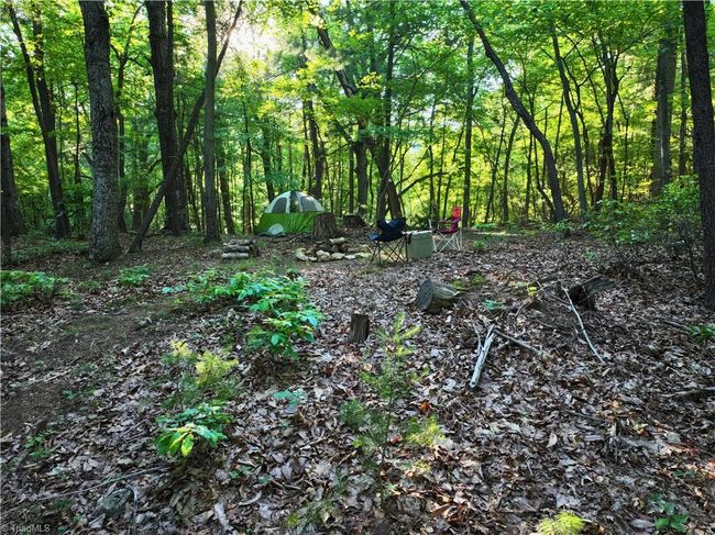 1440 Webb Mountain Rd, Home with 0 bedrooms, 0 bathrooms and null parking in Boones Mill VA | Image 32