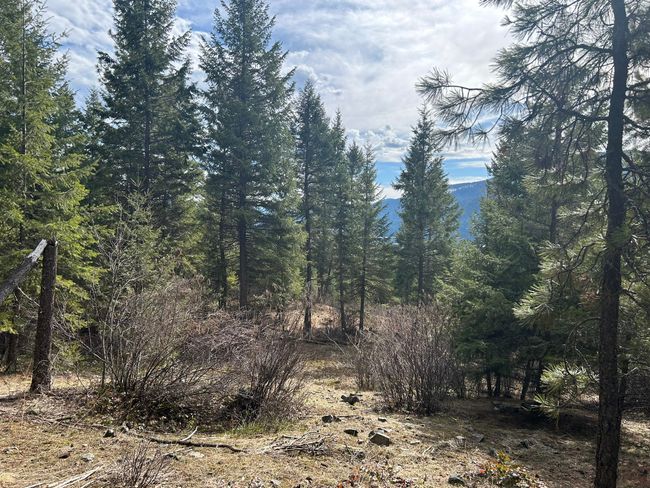 5 Red Fir Ln, Home with 0 bedrooms, 0 bathrooms and null parking in Noxon MT | Image 6