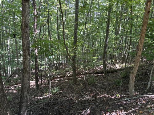 Lot 14 White Oak Drive, Warne, NC, 28909 | Card Image