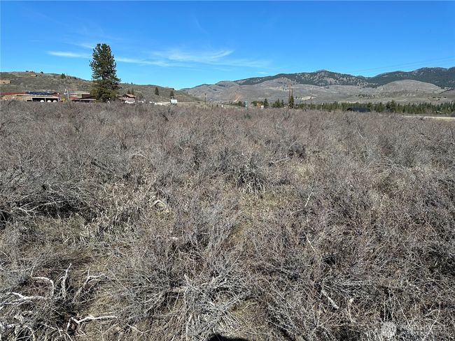 81 W Chewuch Rd, Home with 0 bedrooms, 0 bathrooms and null parking in Winthrop WA | Image 14