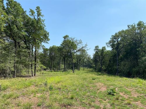 TBD High Crossing Rd - Tract 8, Smithville, TX, 78957 | Card Image