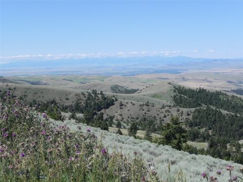 358 Pole Gulch Rd, Three Forks, MT, 59752 | Card Image