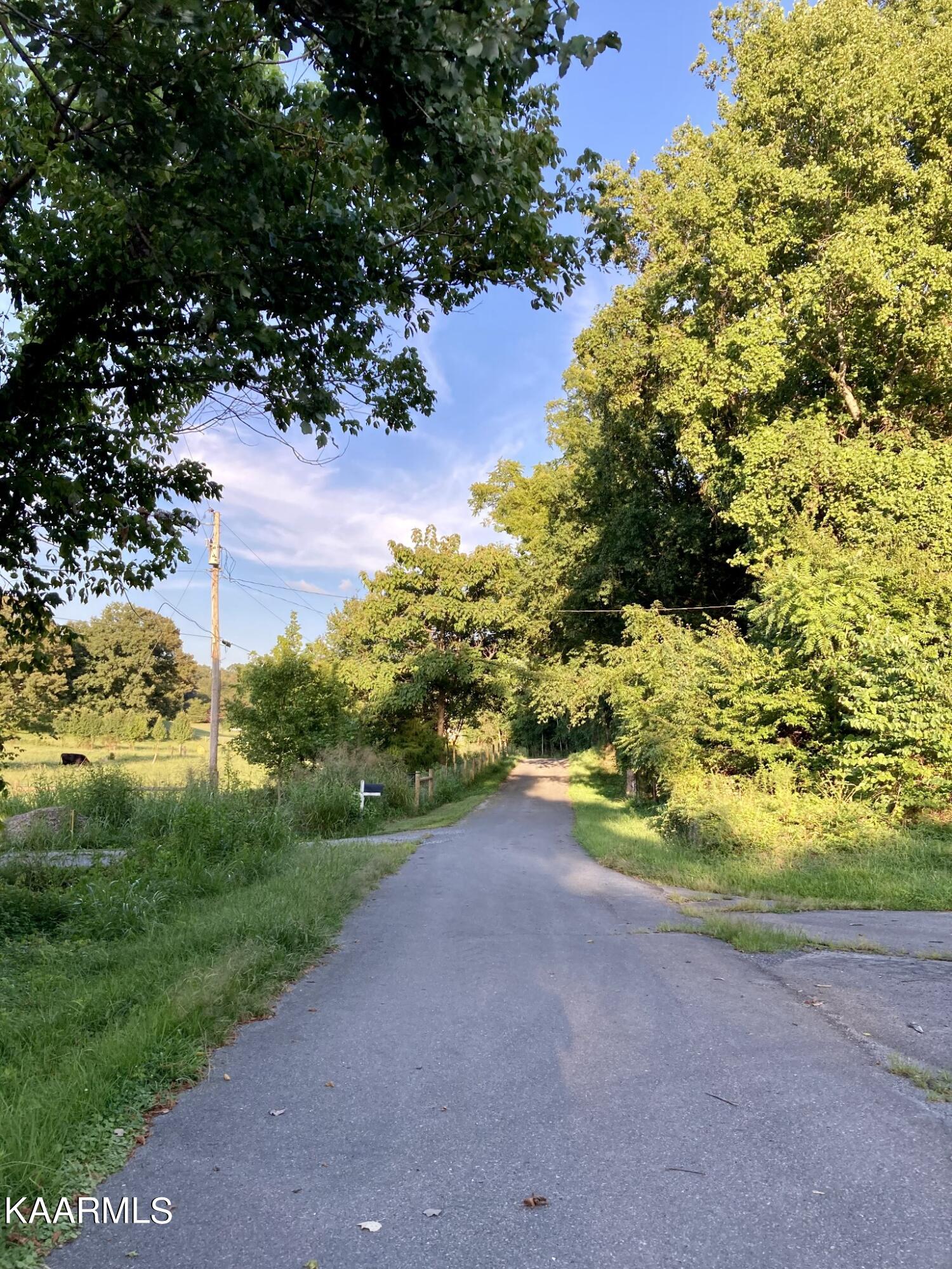 Land in Jonesborough 3
