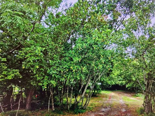 0 Cardy St, New Port Richey, FL, 34654 | Card Image