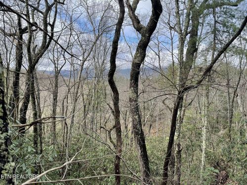 0 Walnut Flats Rd, Walland, TN, 37886 | Card Image