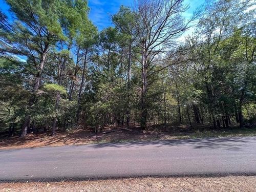 Lot 49 Angelina Ct, Mt Vernon, TX, 75457-8059 | Card Image