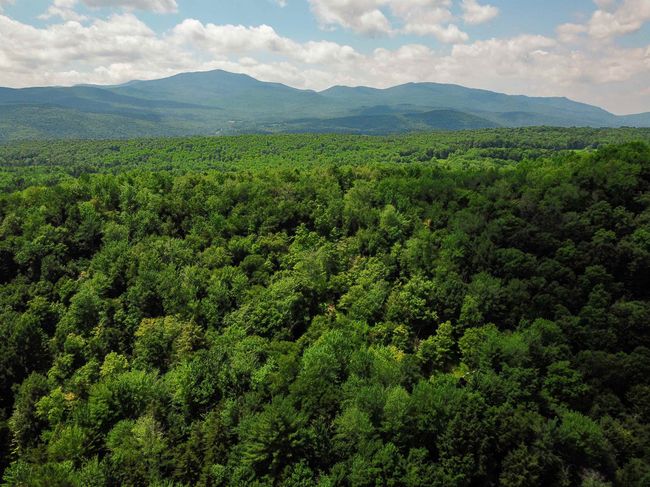 1730 Sinclair Rd, Home with 0 bedrooms, 0 bathrooms and null parking in Johnson VT | Image 7