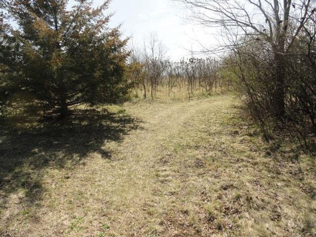10.45 Acres Ringhand Rd, Home with 0 bedrooms, 0 bathrooms and null parking in SYLVESTER WI | Image 44
