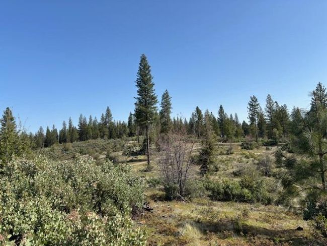 19292 Shawnee Trl, Home with 0 bedrooms, 0 bathrooms and null parking in Mokelumne Hill CA | Image 33