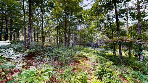 0 Ridgewood Dr, Mc Ewen, TN, 37101 | Card Image