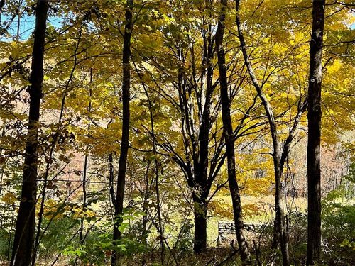 TBD Keller Rd, Callicoon Center, NY, 12724 | Card Image