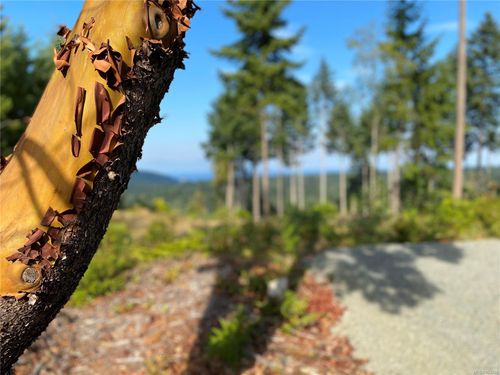 4 Spruce Ave, Gabriola Island, BC, V0R1X3 | Card Image