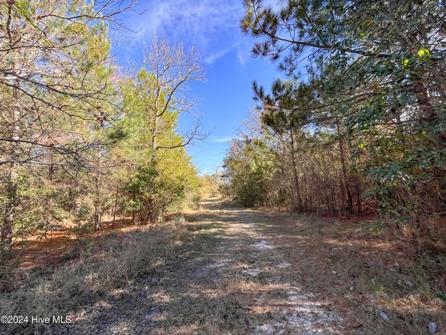 4780 S Us 117 Hwy, Home with 0 bedrooms, 0 bathrooms and null parking in Teachey NC | Image 19