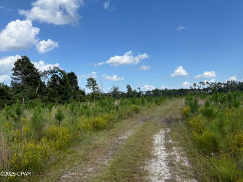 000 Nw Duck Pond Rd, Clarksville, FL, 32430 | Card Image