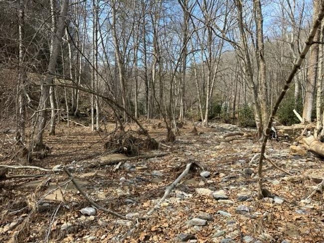 267 Sturgills Rd, House other with 3 bedrooms, 3 bathrooms and null parking in Mouth of Wilson VA | Image 89