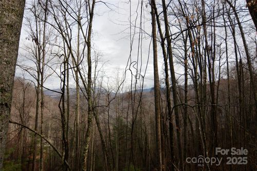 00 Jacks Knob Rd, Barnardsville, NC, 28709 | Card Image