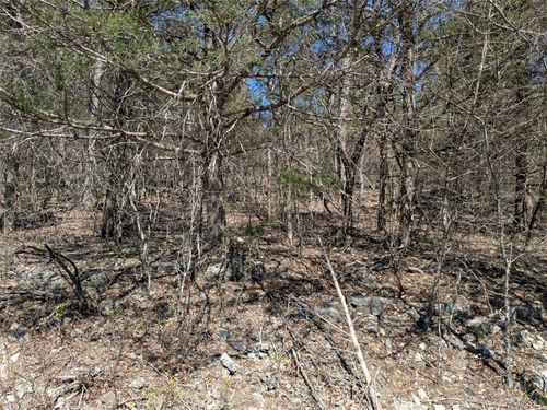 TBD Cottonwood Ln, Eureka Springs, AR, 72631 | Card Image