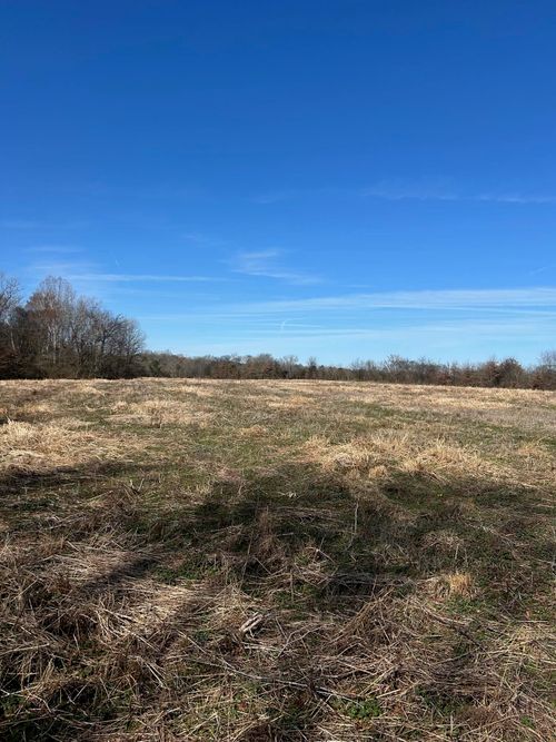 0 County Road 129, Russellville, AL, 35654 | Card Image