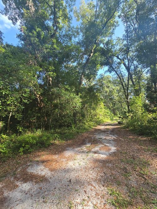 TBD Ne 204th Ave, OLD TOWN, FL, 32680 | Card Image