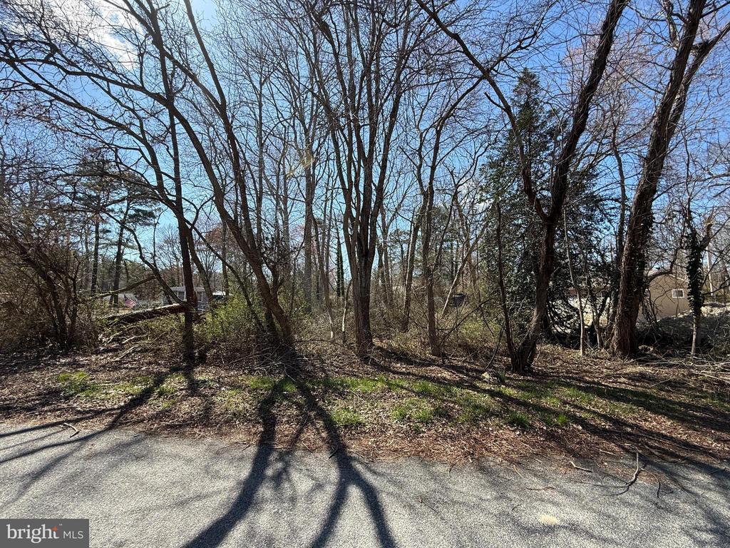 Land in MILLVILLE