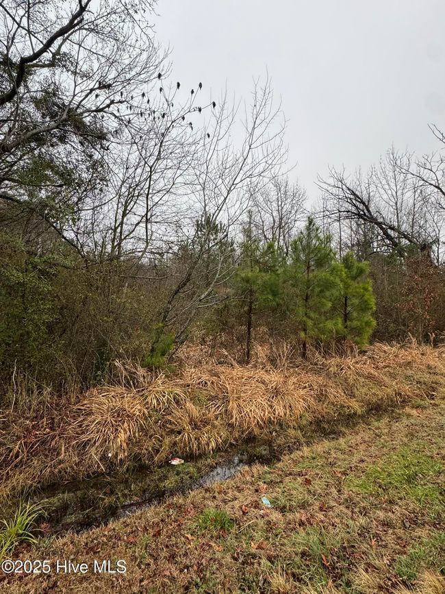 894 Swamp Road, Home with 0 bedrooms, 0 bathrooms and null parking in Pantego NC | Image 5